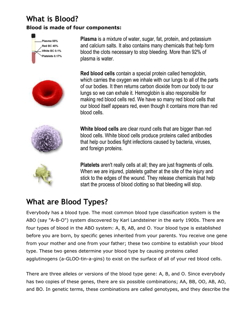 What Is Blood What Is Blood