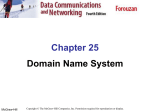 Domain Name systems