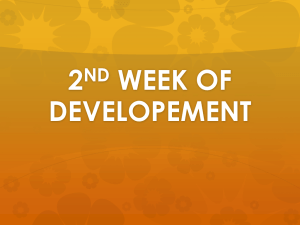 2nd week of developement