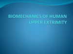 biomechanics of human upper extrimity