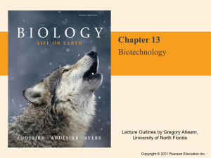 13.7 What Are the Major Ethical Issues of Modern Biotechnology?