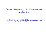 dorsal - WebLearn