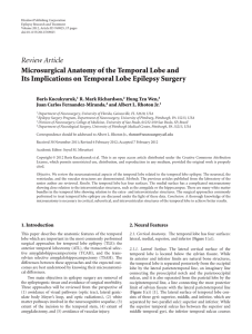 Microsurgical Anatomy of the Temporal Lobe and Its Implications on