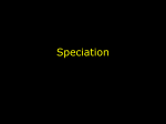 Speciation