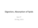 Digestion, Absorption of lipids