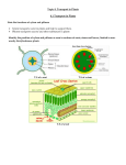 Topic 8 revision notes - Mr Cartlidge`s Saigon Science Blog