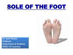 Sole Of The Foot