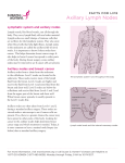 Axillary Lymph Nodes - Susan G Komen® Chattanooga