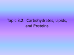 Topic 3.2: Carbohydrates, Lipids, and Proteins