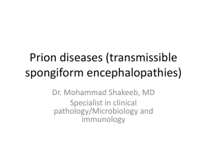 Prion diseases (transmissible spongiform encephalopathies)