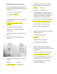 Cell Biology Practice Question Answers