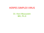 herpes simplex virus (hsv)
