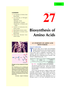 27. biosynthesis of amino acids