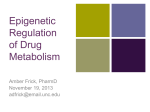 Epigenetic Regulation
