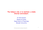The kidney maintains a stable internal environment.