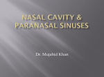22-Nasal Cavity
