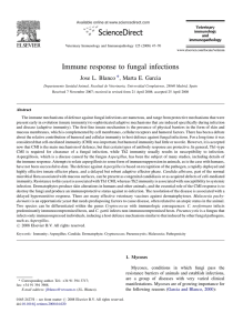 Immune response to fungal infections