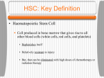 What is HSCT? - Caprock Hematology
