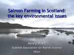 Salmon Farming and the Environment: A Scottish perspective