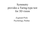 Symmetry Provides a Turing-Type Test for 3D Vision - Purdue e-Pubs