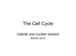 1. Cell division functions in reproduction, growth, and