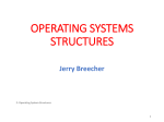 OPERATING SYSTEMS STRUCTURES