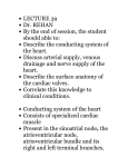 left coronary artery