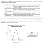 Pepsin and Salivary Amylase Activity at Different pH Values