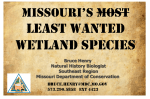Missouri`s Least Wanted Wetland Species