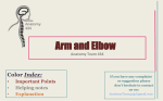 8.Arm and Elbow2014-12
