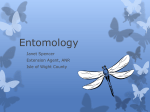 Entomology - Gloucester County Virginia