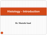 Histology - Introduction