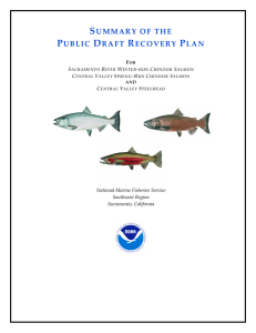 NMFS VSP Draft Recovery Plan Summary