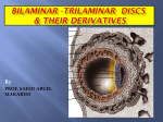 03 bilaminarand trilaminar discs2011-09-27 05