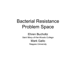 Bacterial_Resistance