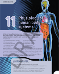 11Physiology of human body systems