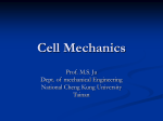 Cell Mechanics