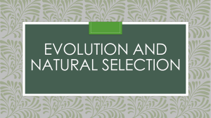 Evolution and Natural Selection PowerPoint