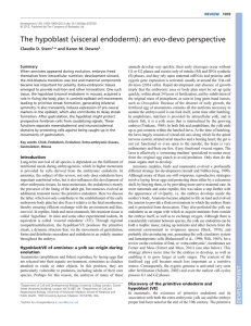 The hypoblast (visceral endoderm): an evo