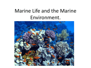 Unit 8 Marine Life and Environment Notes