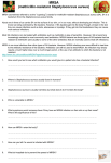 6 7 MRSA worksheet