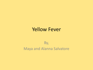 Yellow Fever - sarabrennan