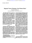 Regional Venous Drainage of the Human Heart*