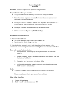 CH 11 Review Sheet