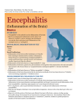 Encephalitis - Milliken Animal Clinic