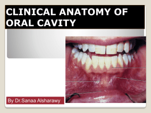 Clinical Anatomy of ORAL CAVITY-2014++++