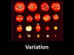 Variation and Selection