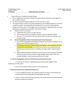 Tertiary Protein Structure