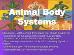 Animal Body Systems