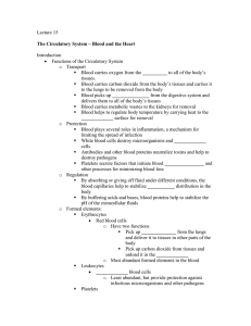 The Circulatory System – Blood and the Heart